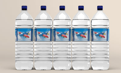 Airplane Birthday Ideas | Birthday Themed Water Bottles