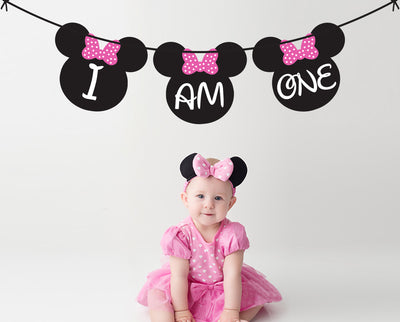 Minnie Mouse Birthday Party High Chair Banner