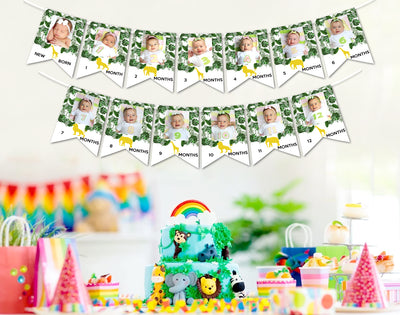 baby milestone photo banner