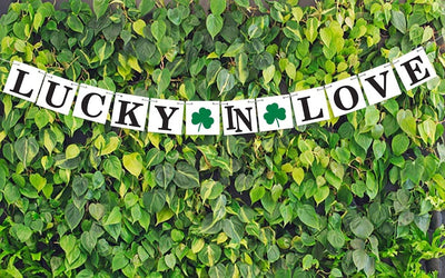 St Patrick's Day Banner | Lucky In Love Banner