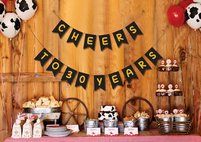 30 Years Birthday Party  Decoration - Banner