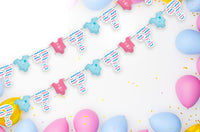 Gender Reveal Garland