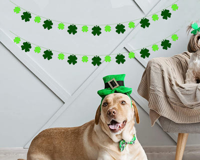 St Patrick's Garland Decor | St Patrick's Day Celebration