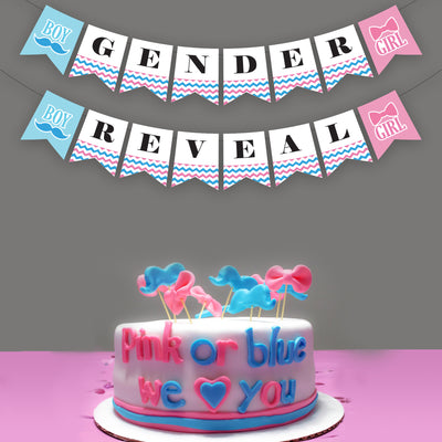 Gender Reveal Banner Ideas | Gender Reveal Banner