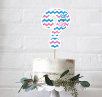 Gender Reveal Cake Topper