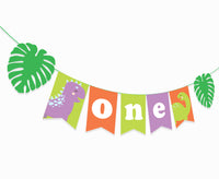 Dinosaur Themed Birthday Supplies | Dinosaur One Birthday Banner