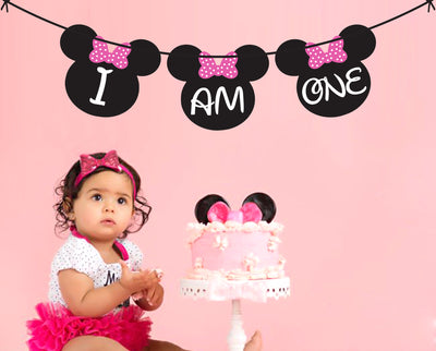 Minnie Mouse Birthday Party High Chair Banner