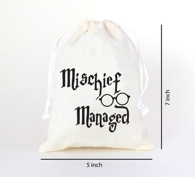 Harry Potter Birthday theme favor bag | Harry Potter  Birthday gift bag