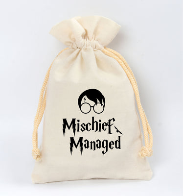 Harry Potter Birthday theme favor bag | Harry Potter  Birthday gift bag