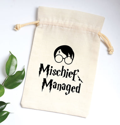 Harry Potter Birthday theme favor bag | Harry Potter  Birthday gift bag