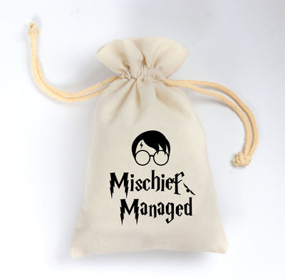 Harry Potter Birthday theme favor bag | Harry Potter  Birthday gift bag
